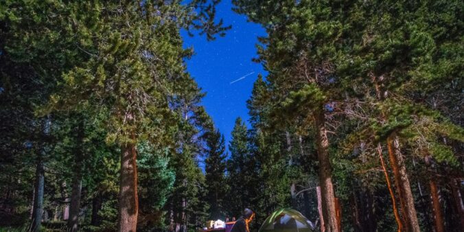 man sitting near bonfire and green tent in forest