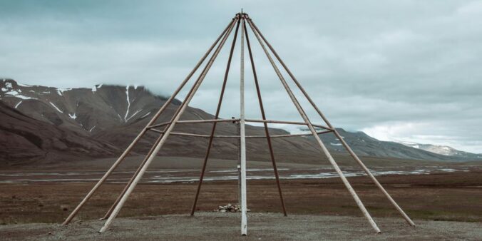 brown wooden sticks on brown field during daytime